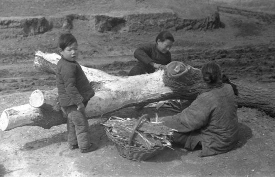 白修德镜头中的1942年河南大饥荒。 白修德镜头中的1942年河南大饥荒。