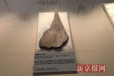 65件甲骨在国家图书馆（国家典籍博物馆）展出，规模之大较为罕见。新京报记者 黄颖 摄