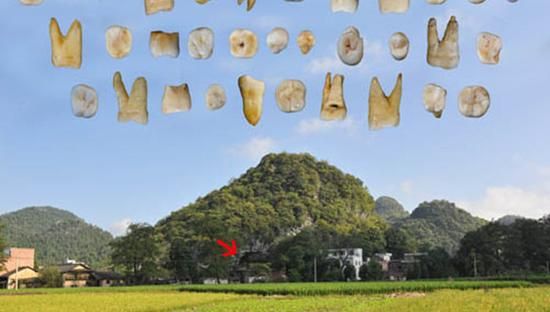 道县福岩洞外景及发现的人类牙齿化石（图片来源：中科院官网）