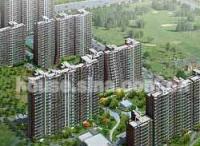 ������������վ