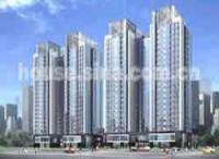 ���й�������