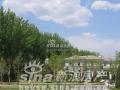 ����Ϫ�� ԰��ʵ��4 ʵ��ͼ