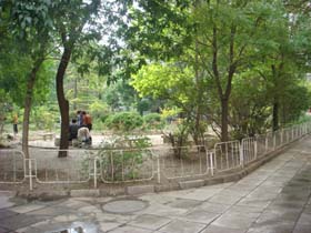 金银花基金获选社区改造方案出炉