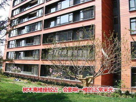 华瀚国际小区绿化完善 配有水系 - 评测 -北京乐居网