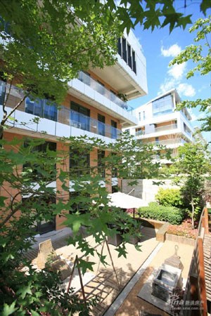 北京房产 楼市新闻 导购 专家国际花园    专家国际花园位于海淀清河