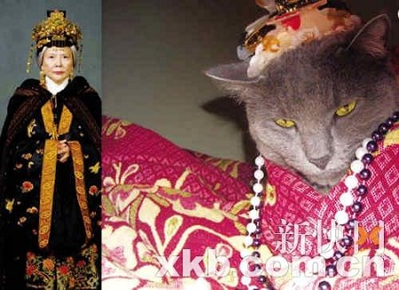 新版《红楼梦》惹争议 网友恶搞演员家居照