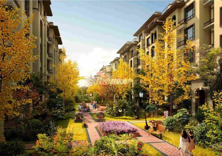 [复地哥德堡森林]目前在售76-152平米加推洋房