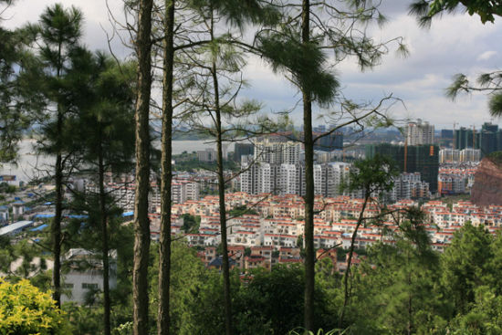 莫斯科人均绿地面积_西安市人均绿地面积(2)