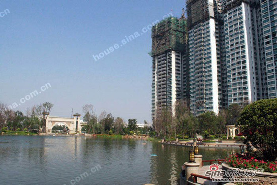 项目实景图 项目实景图