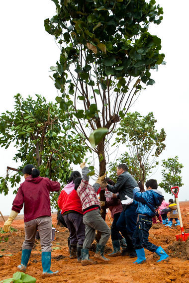 珠海新房首页_买房_房价_房产_珠海房地产门