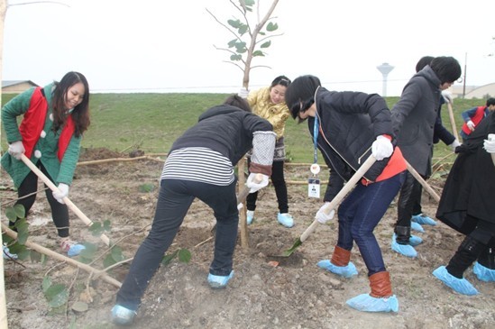 碧桂园志愿者参加植树节活动