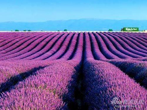 暖春行大礼 御峰欧洲双人十日游礼遇全城