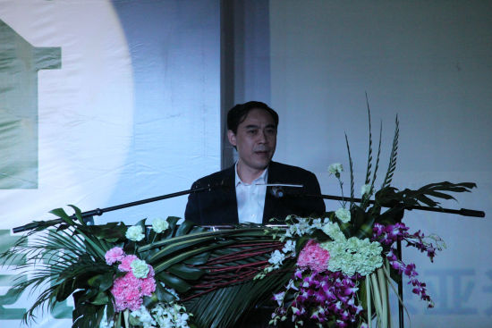 亚光的董事长_泰拉瑞亚光之女皇图片