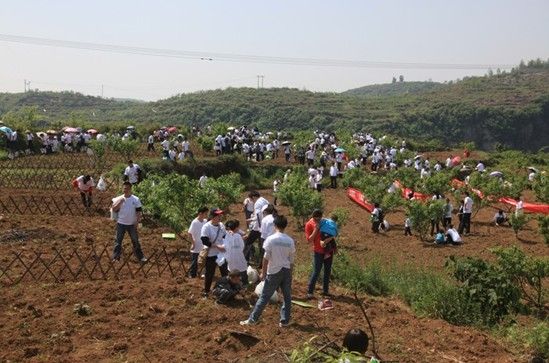 打造绿色家园之开心农场第二季活动圆满成行