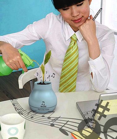 会唱歌的漂亮花盆 会唱歌的漂亮花盆