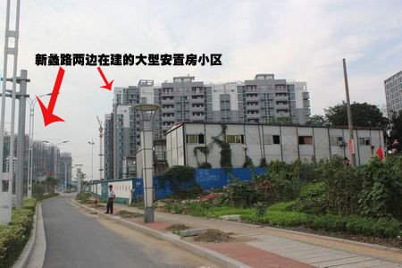 图为 图为