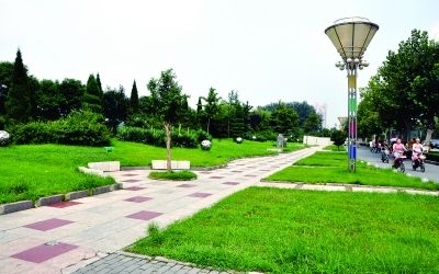 期末考试_期末人均公共绿地