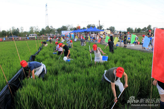 在自己的农场里捕鱼 和协风格Z院真人捕鱼达人
