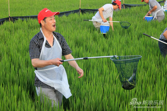 在自己的农场里捕鱼 和协风格Z院真人捕鱼达人
