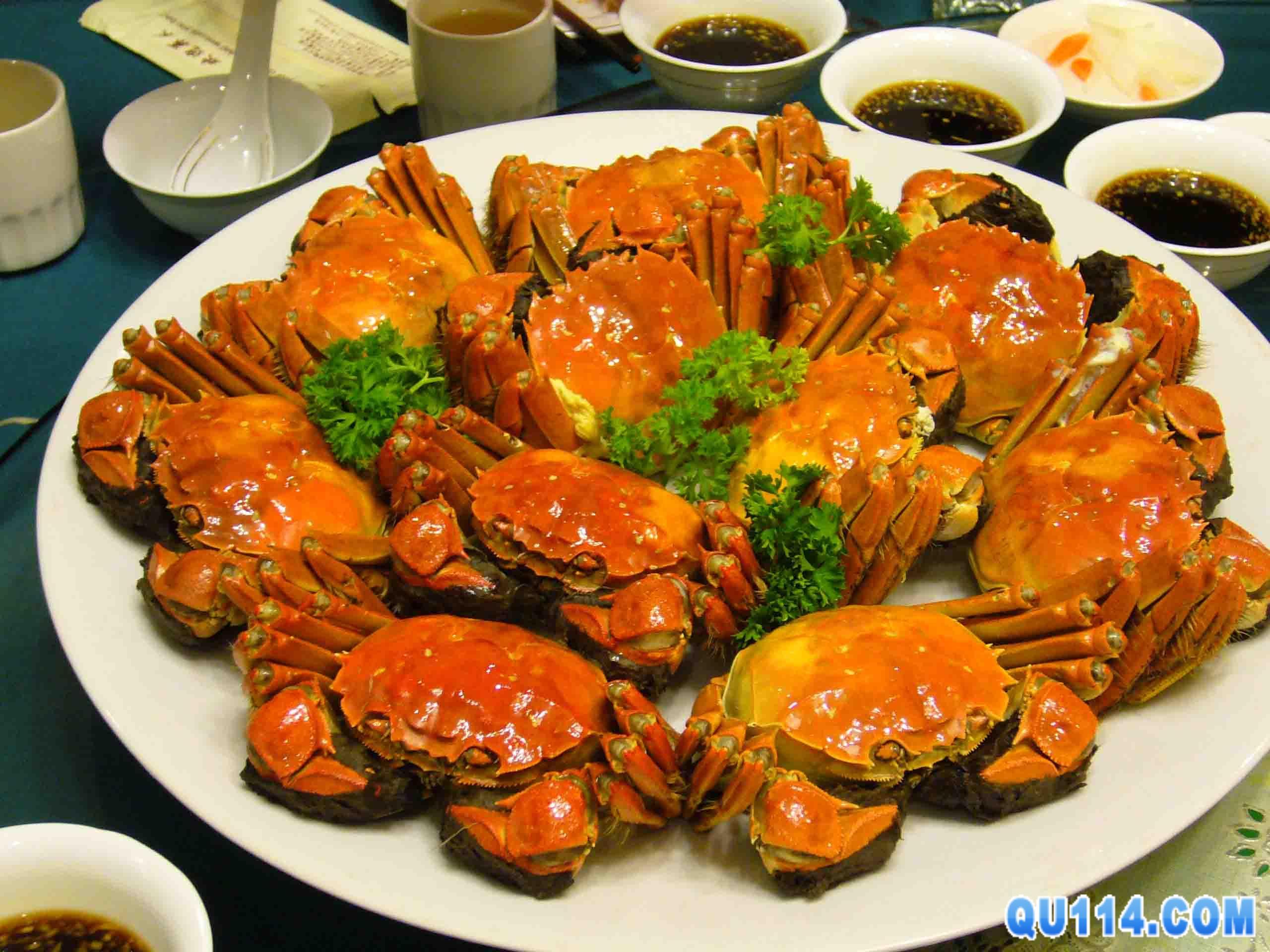 美食品鉴爱上上海美食,导购,综合点评,新闻列表