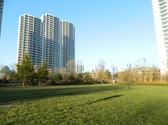 小米看房―绿植环绕的金梦海湾一号