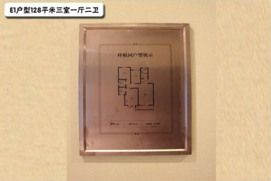样板间户型图展示