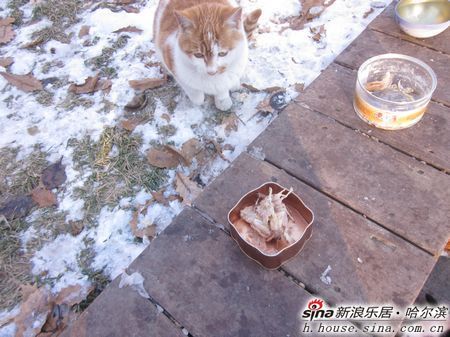 中国哪的海鲜最好吃_天海翼哪一部最好看_中国空军飞机坟场在哪(2)