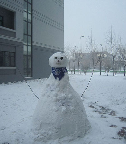 天津下雪 理工大学现求爱雪人