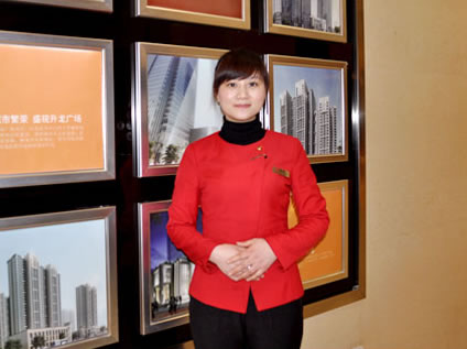 我是销冠:2012年度销售冠军李丹丹