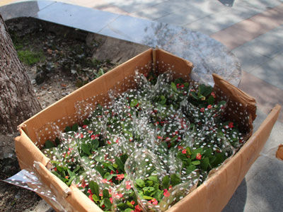 三八妇女节新浪乐居走进售楼部送祝福_昆山房