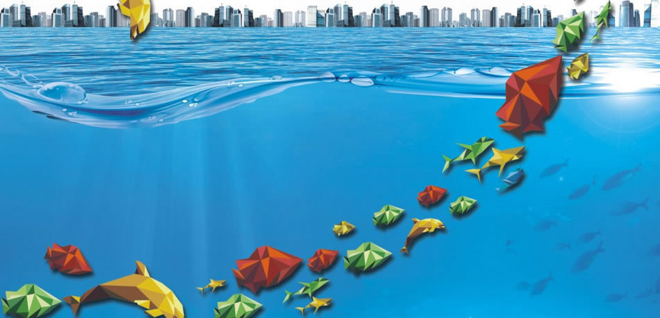 永州楼市专题之宏一·珊瑚海