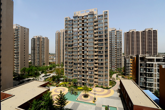 咸阳华泰地产春之影摄影比赛