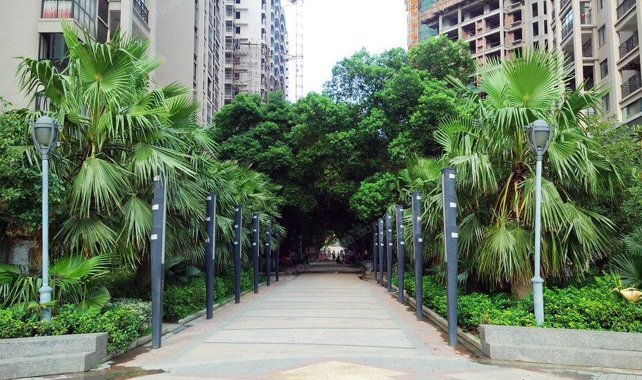 永州市区多少人口_永州市区图片(3)