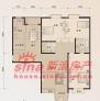 �齭�۾� C�������Ҷ������� 183.50�O ����ͼ