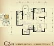 �齭���¹�˹���ǰ�(�齭����˹��) C2�������Ҷ���һ�� 98.43�O ����ͼ