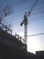鹤巢居 建筑主体 实景图