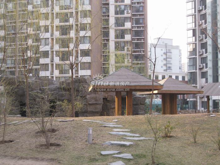 天之骄子小区,天之骄子龙韵,天之骄子香烟价格