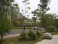 怡海花园(六期) 周边道路 实景图