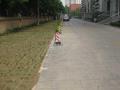 枫蓝国际中心 周边环境 实景图