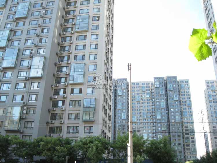 苹果社区·转基因苹果