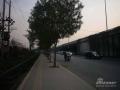 中堂华府(中堂) 周边道路 实景图