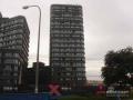 金隅·可乐+ 项目实景 实景图