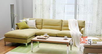 适合任何客厅的L形沙发组摆放技巧(图)