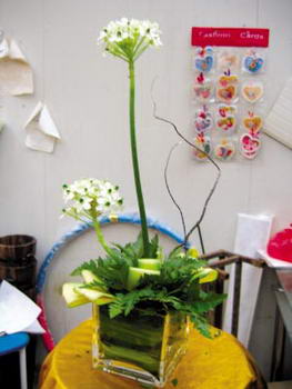 �Ӽ�������DIY�򵥲廨���岽��(ͼ)