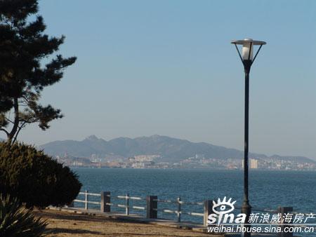 渔宝牌海鲜皇_渔牌衣服_听渔轩渔具店装修图片(3)