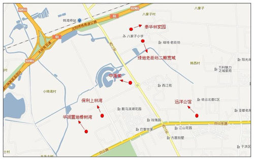 探荷兰村板块低密住宅 绿地宽域看房记(组图)