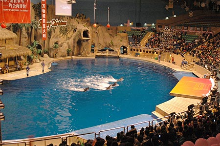 数千业主喜聚 欢庆罗马嘉园四周年(图)