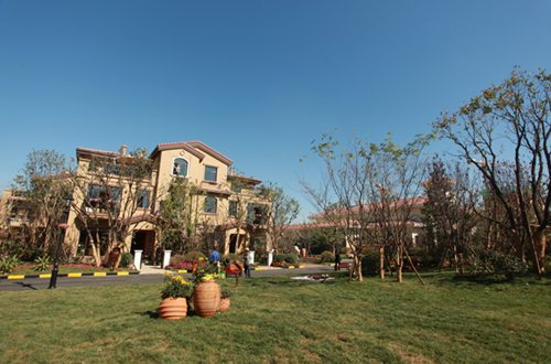 在碧桂园凤凰城 读懂幸福