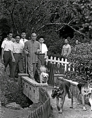 资料图: 蒋介石在阳明山后山公园遛狗