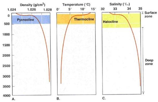 资料图:海水密度跃变层(Pycnocline)、温度跃变层(Thermocline)、盐度跃变层(Halocline) 资料图:海水密度跃变层(Pycnocline)、温度跃变层(Thermocline)、盐度跃变层(Halocline)